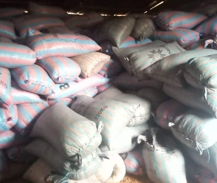 Trafic transfrontalier: Plus de 60 tonnes de févres de cacao saisies à la frontière Côte d’Ivoire-Guinée