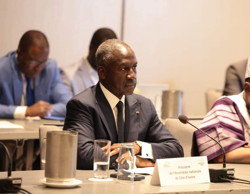 le président de l'Assemblée nationale, Adama Bictogo.