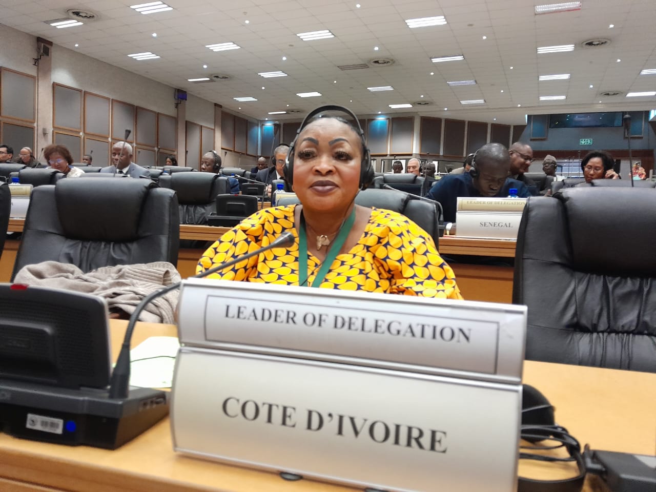 Journée Panafricaine de la Femme au Tchad: L'Honorable Mariam Traoré représente la Côte d'Ivoire à Ndjamena