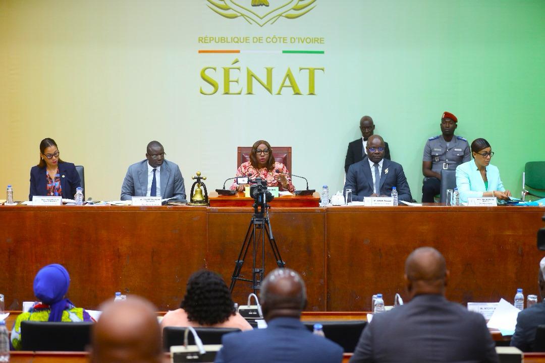 Sénat : Le Projet de loi autorisant le Président de la République à ratifier l’Accord portant création de la BERD, adopté à l'unanimité