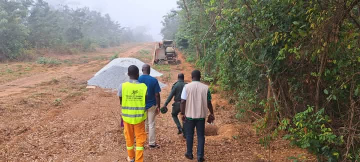 Yamoussoukro : La forêt urbaine bientôt dotée d’une clôture végétalisée de 6,2 km